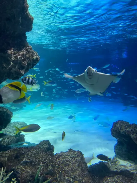 Tokyo Ikebukuro Sunshine Aquarium