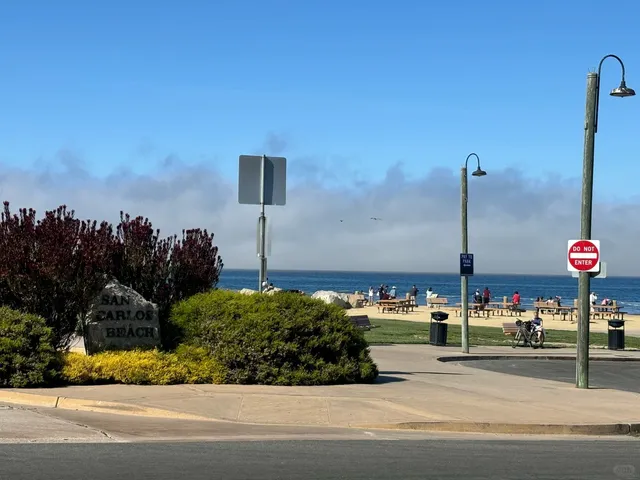 Sea-Lion Lounge at San Carlos Beach