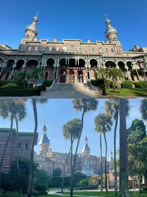 🌞 Summer in Tampa: City Guide & Hidden Gems