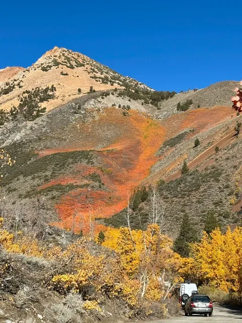 Highway 395 Series: North Lake Fall Foliage Guide 🍂🚗
