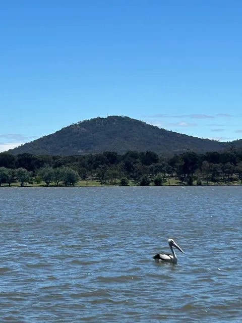  24 Hours in Canberra | Must-Vo-Spots 🏛️ (Car-Free Edition! 🚗)