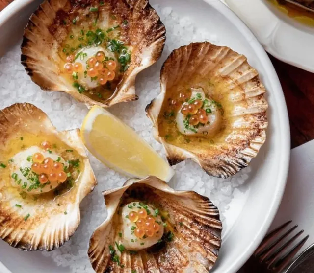 ​​Blue Mountains Hidden Gems | Blackheath’s Best Bites & Sips​​ 🏔️🍷