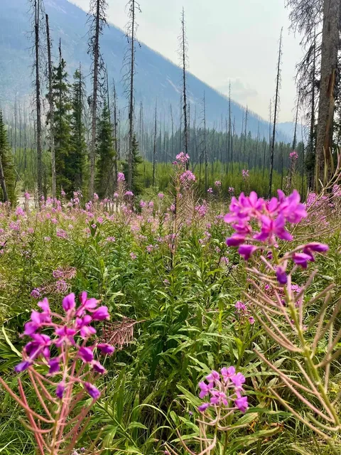 Calgary’s Surrounding Areas