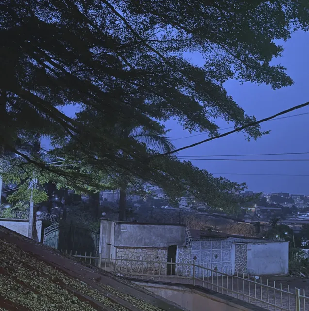 Yaoundé Food Discovery | Le Bacchus