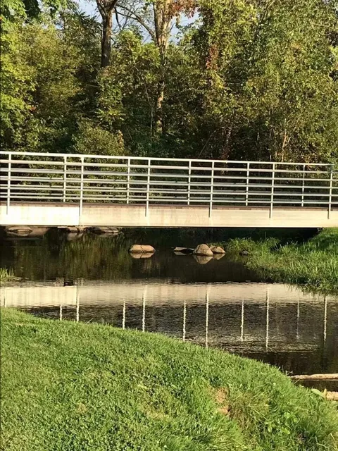 🌿 Experiencing a Miyazaki-Style Summer in the USA 🐸
