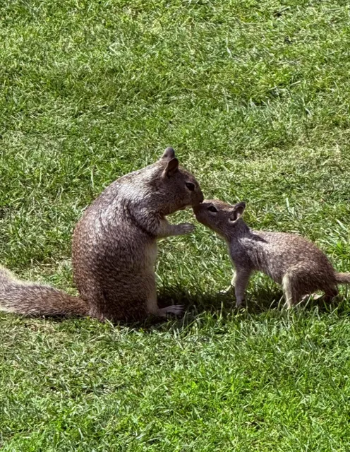 California's Vibrant Life in Motion 🫧🌴