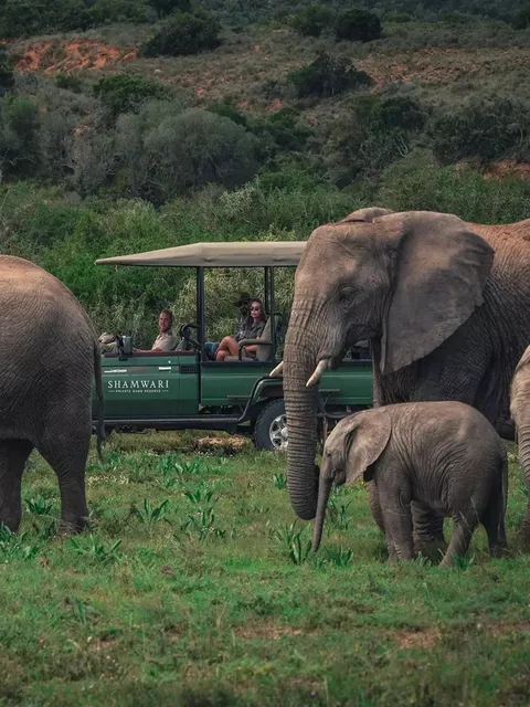 I regret not coming earlier