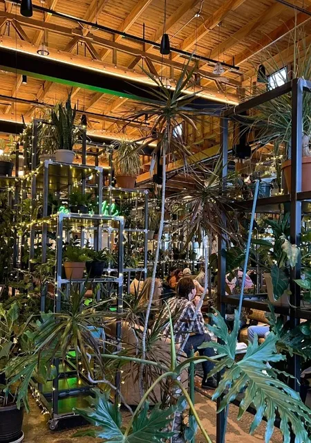 🌿 Earl Giles | Where Cocktails Meet Canopy in Minneapolis! 🍃