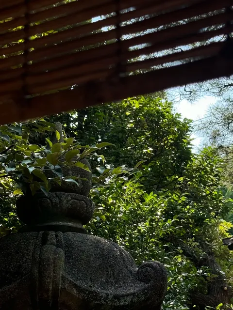 Discovering Matcha at Kosoan🍵