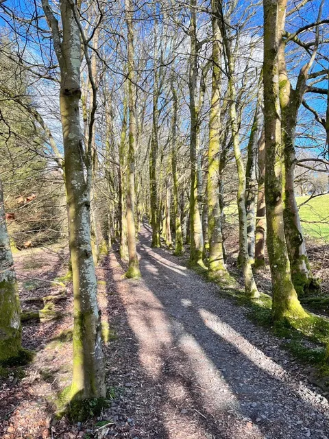 🏴󠁧󠁢󠁳󠁣󠁴󠁿 Balloch Day Trip: Loch Lomond Adventures!
