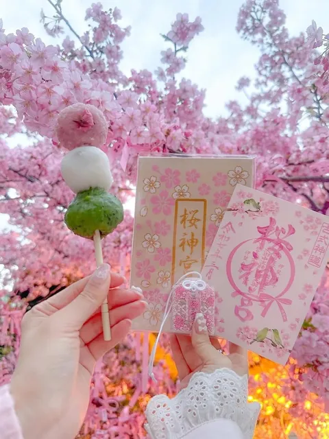 I declare this year’s cherry blossom chasing a huge success!