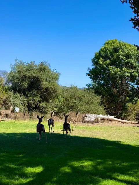 San Dimas Canyon Golf Course 🏌🏻‍♀️