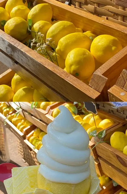 Ice cream on a lemon