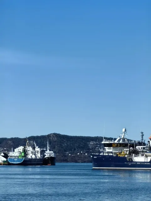 🇳🇴 Bergen Fjord Cruise Review | Worth It?