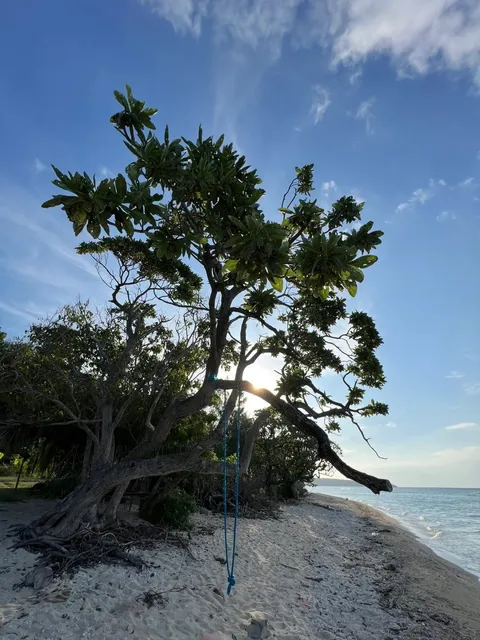 🇻🇺 Port Vila One-Day Adventure Guide 🌴✨