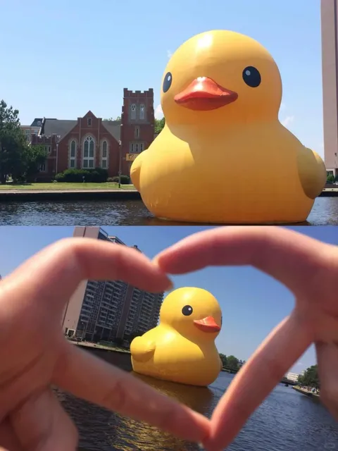 New York's Most Affordable Amusement Park: Playland is Here!