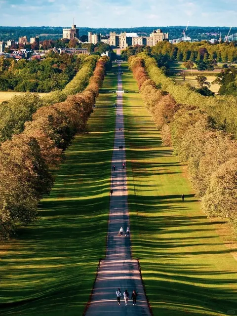 🇬🇧 The Royal Walk: Where Wild Deer & Jets Meet! 🦌✈️