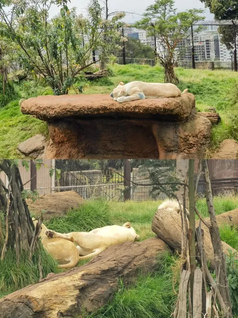 🇪🇹 Ethiopia Attractions || The Ultimate Guide to Unity Park!