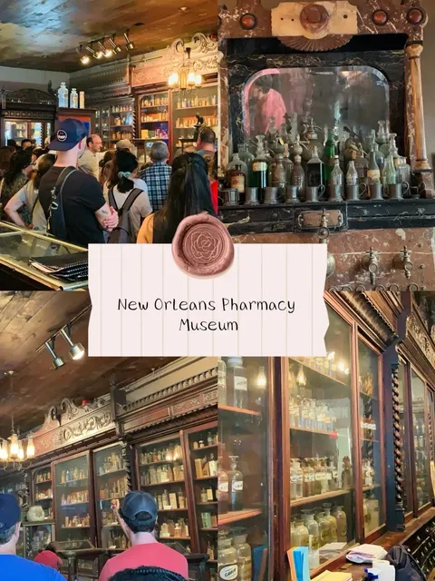 How to Enjoy New Orleans 🧳 | The Ultimate NOLA Guide 🎵
