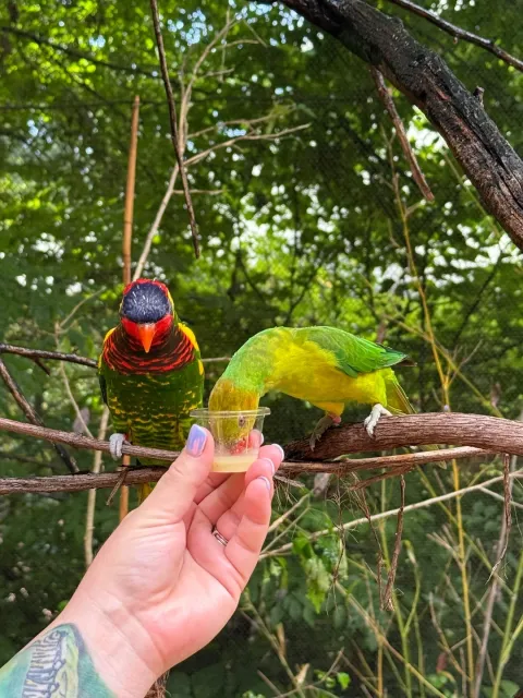 A Fun and Enjoyable Zoo Visit! 🐾🌿