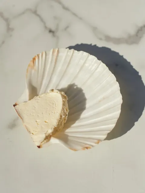 Apollo Bar 🌊 | Copenhagen's White Cube Gallery Bistro