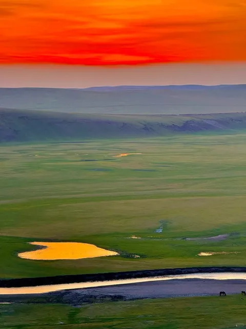 "Flew 3,000 km—Was It Worth It?" ✈️🌍