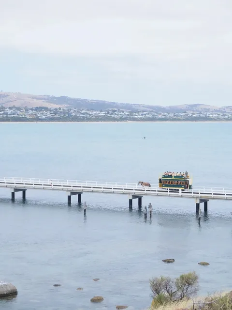 Adelaide 4D3N Car-Free Travel Guide