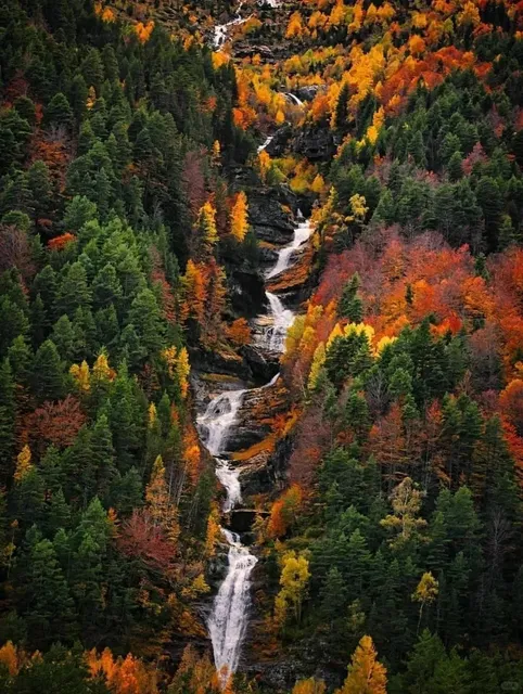 How Wild is Spain's Border? An Award-Winning Adventure Awaits! 🌿🏆