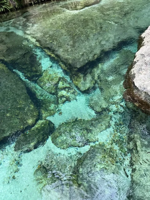 𝕂𝕖𝕝𝕝𝕪 ℙ𝕒𝕣𝕜｜Orlando’s stunning view for just $1… 😍