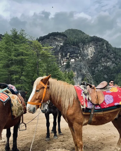 V Travel: Bhutan’s Hidden Charms – A Guide Part 2 ⛰️