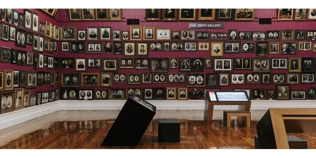 🏰 10 Must-Do Experiences in Dunedin, NZ 🏰