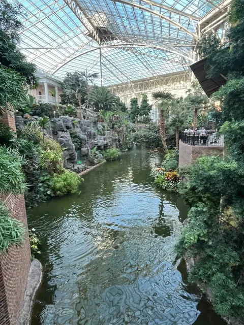 An Absolutely Amazing Place! 🌟🏞️