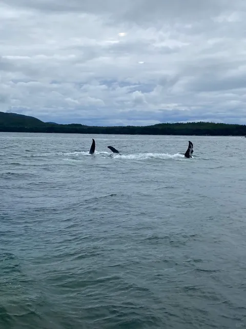 Alaska Travel Stories (Part 2)