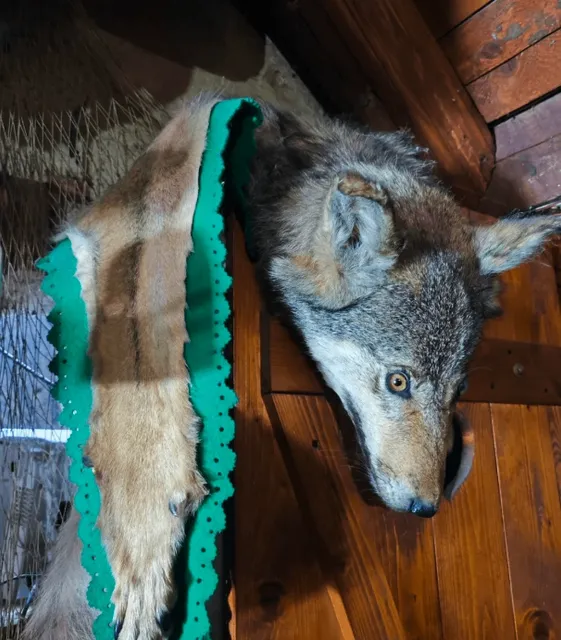 Exploring the Most Abstract Restaurant in the Universe, Slovakia