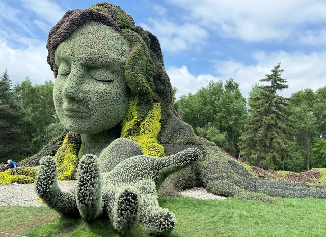 🌍 In the Verdant Embrace of Mother Nature