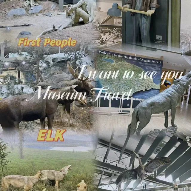 Travel to Algonquin Provincial Park