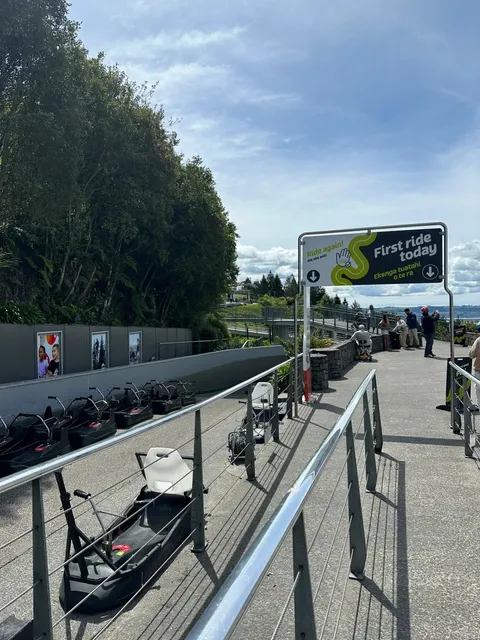 Rotorua Travel Guide: Geothermal Wonderland of New Zealand