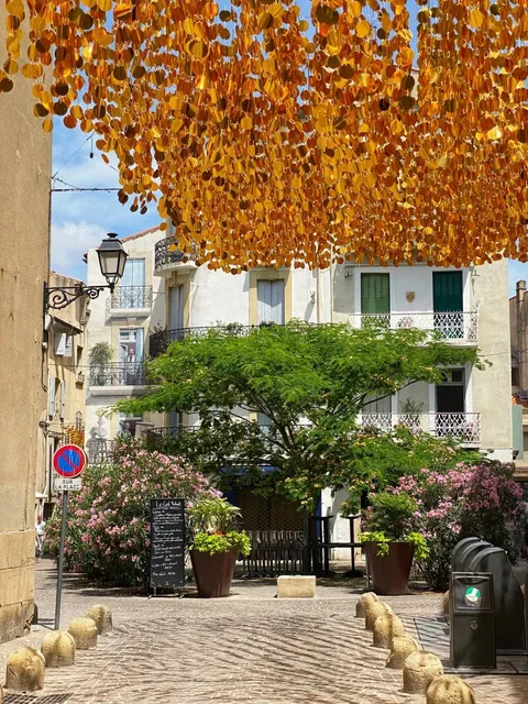 🌞 Hidden Gem in Southern France | Béziers Travel Guide 🌞