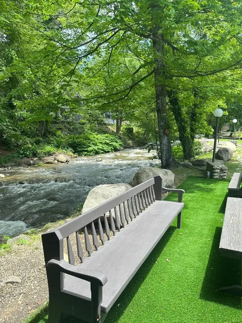 2024 Great Smoky Mountains Fall Foliage Road Trip Guide