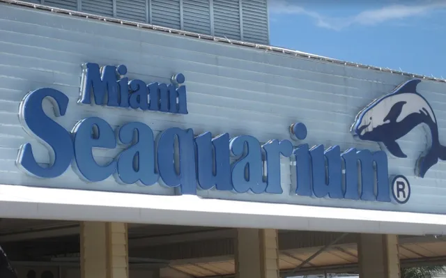 A Parent-Child Journey Ten Years in the Making