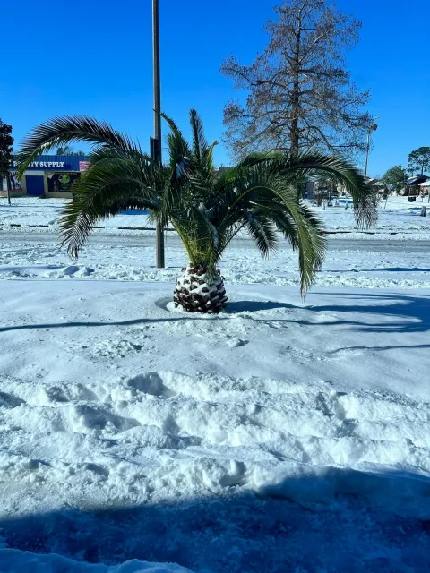 Outstanding Customer Service | Wanda Shines in the Snowstorm! 🌨️🏨💫