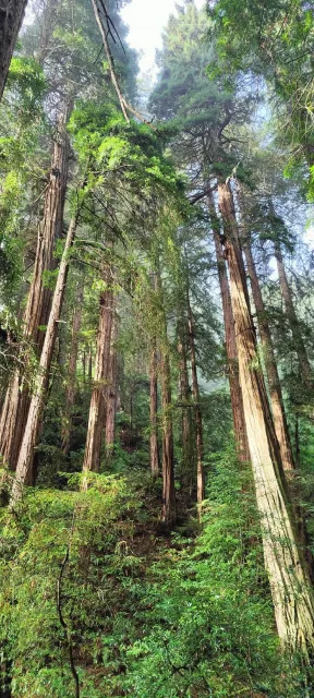 🚌 Everyone, Let's Get Off – An Unforgettable Bus Tour Experience! 🌟