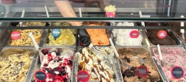 🌿 Collins Quarter | Savannah's Garden-Inspired Social Hub