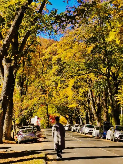 🇳🇿 Queenstown Food Guide | Best Meal? The Cow! 🍝