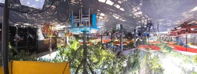 Great Chicken & Waffles! 🍗🧇