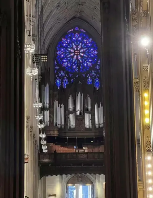 🇺🇸 FREE NYC Gems You Can’t Miss! 🎉