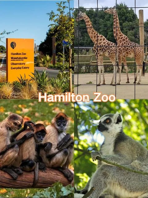 🇳🇿 How to Spend a Weekend in Hamilton