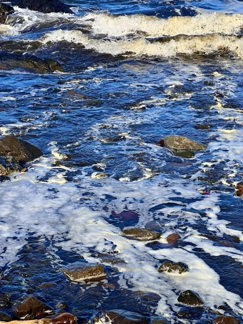 🇨🇦 Ucluelet: Where Temperate Rainforest Meets the Pacific 🌲🌊