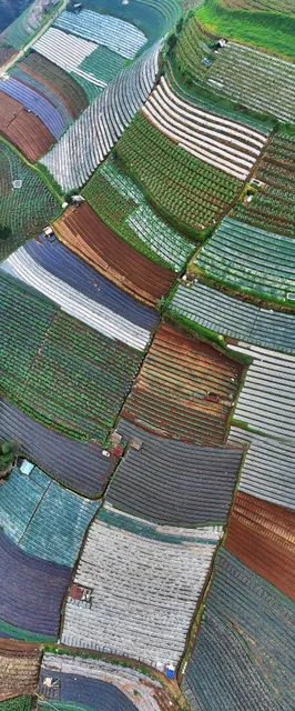 ​​Indonesia, Yogyakarta | Rainbow Village at the Foot of a Volcano​​