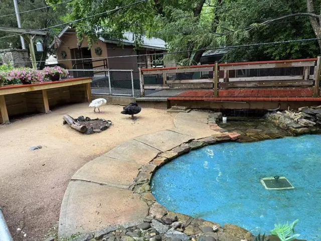 ​​Awesome Spot for Kids: Staten Island Zoo 🦁🐍🦚​​